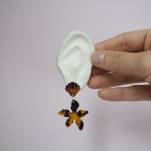 Charger l'image dans la galerie, Tortoise