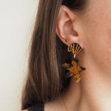 Charger l'image dans la galerie, Tortoise